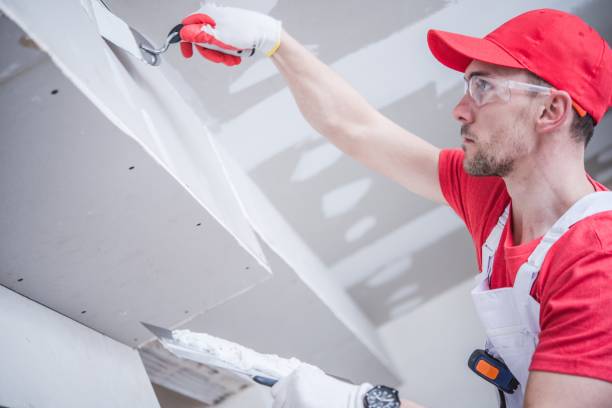 Best Ceiling Drywall Installation  in Lake Stevens, WA